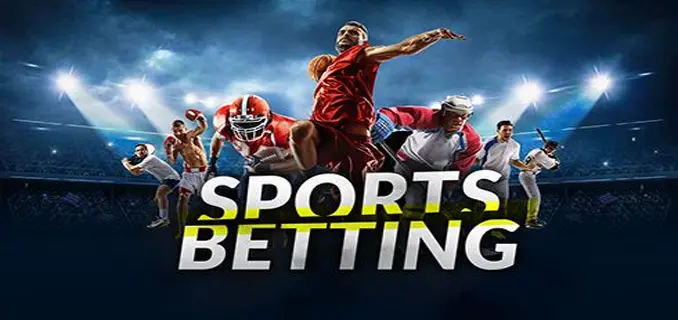 Probet118 Com